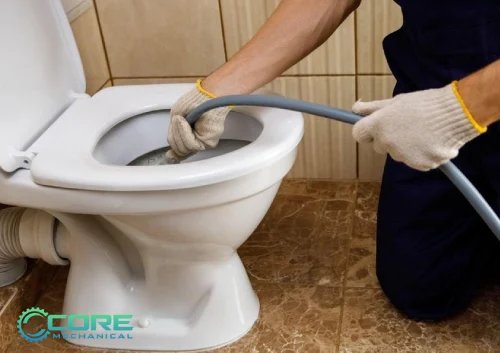 Toilet Clogs