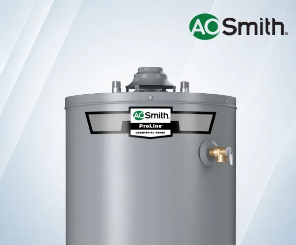 A.O. Smith Thermostat and Gas Valve Repair